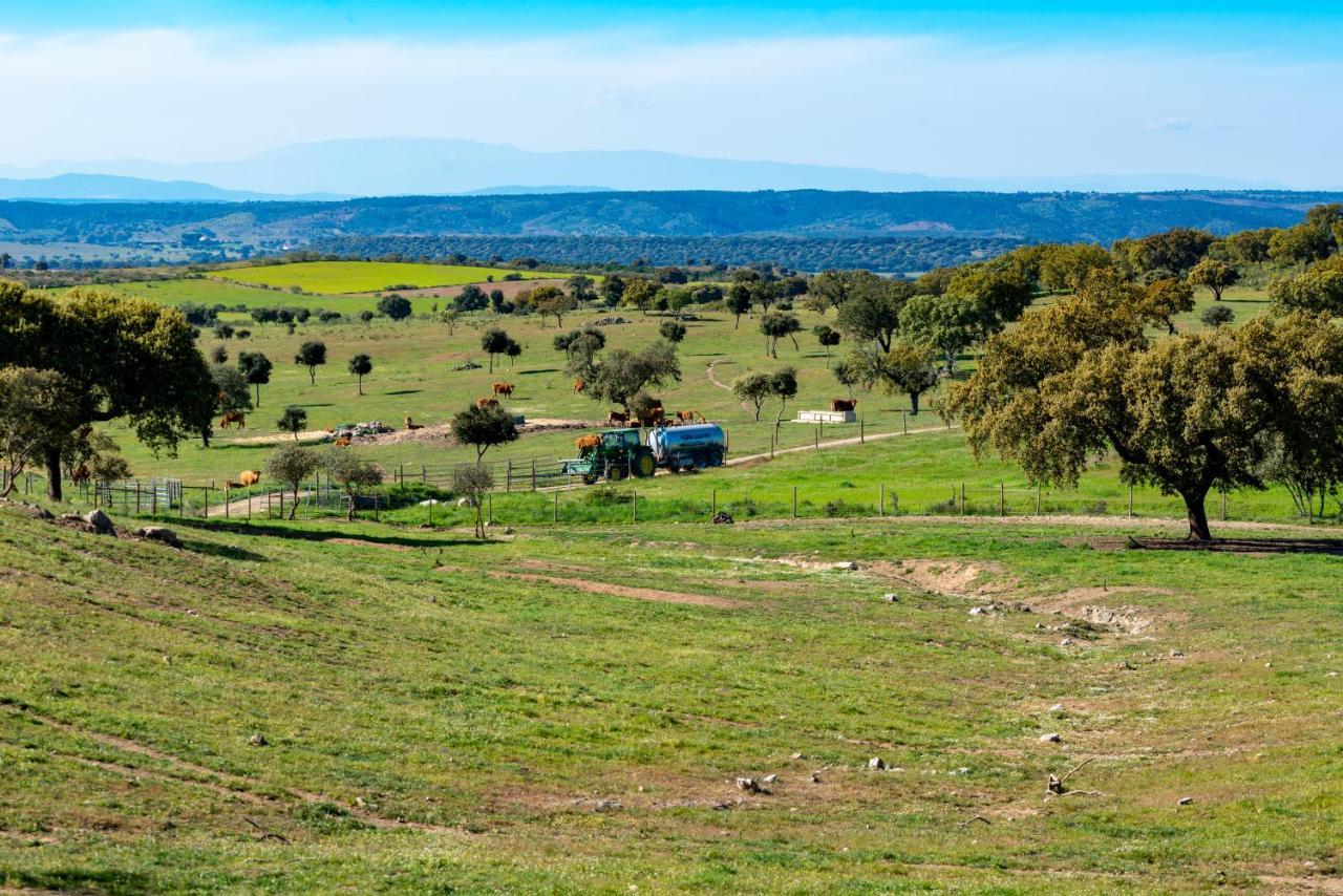 Moradia Gemea 2 Em Herdade Santa Marta Zebreira Exteriör bild